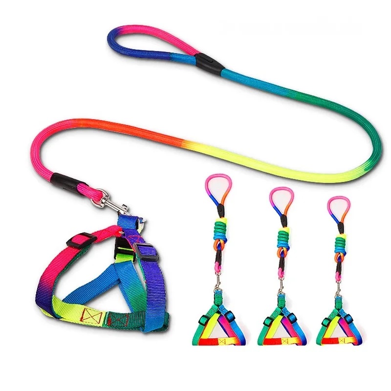 Harness kit rainbow color R/L 2cm - M