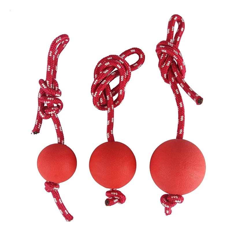 Toy ball rubber with leash 90712 - XL