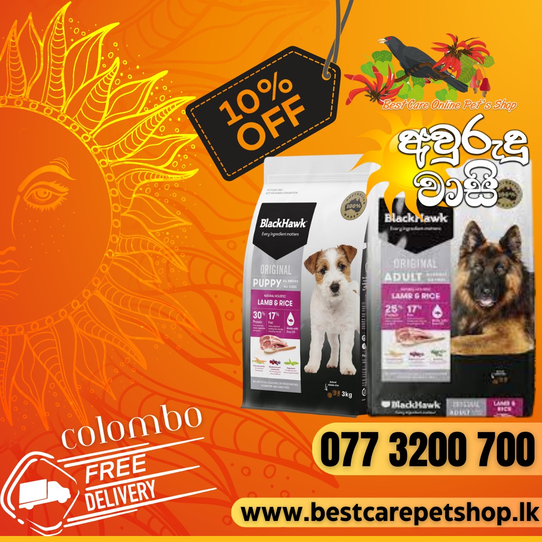 Best Care Pet Shop atelieryuwa.ciao.jp