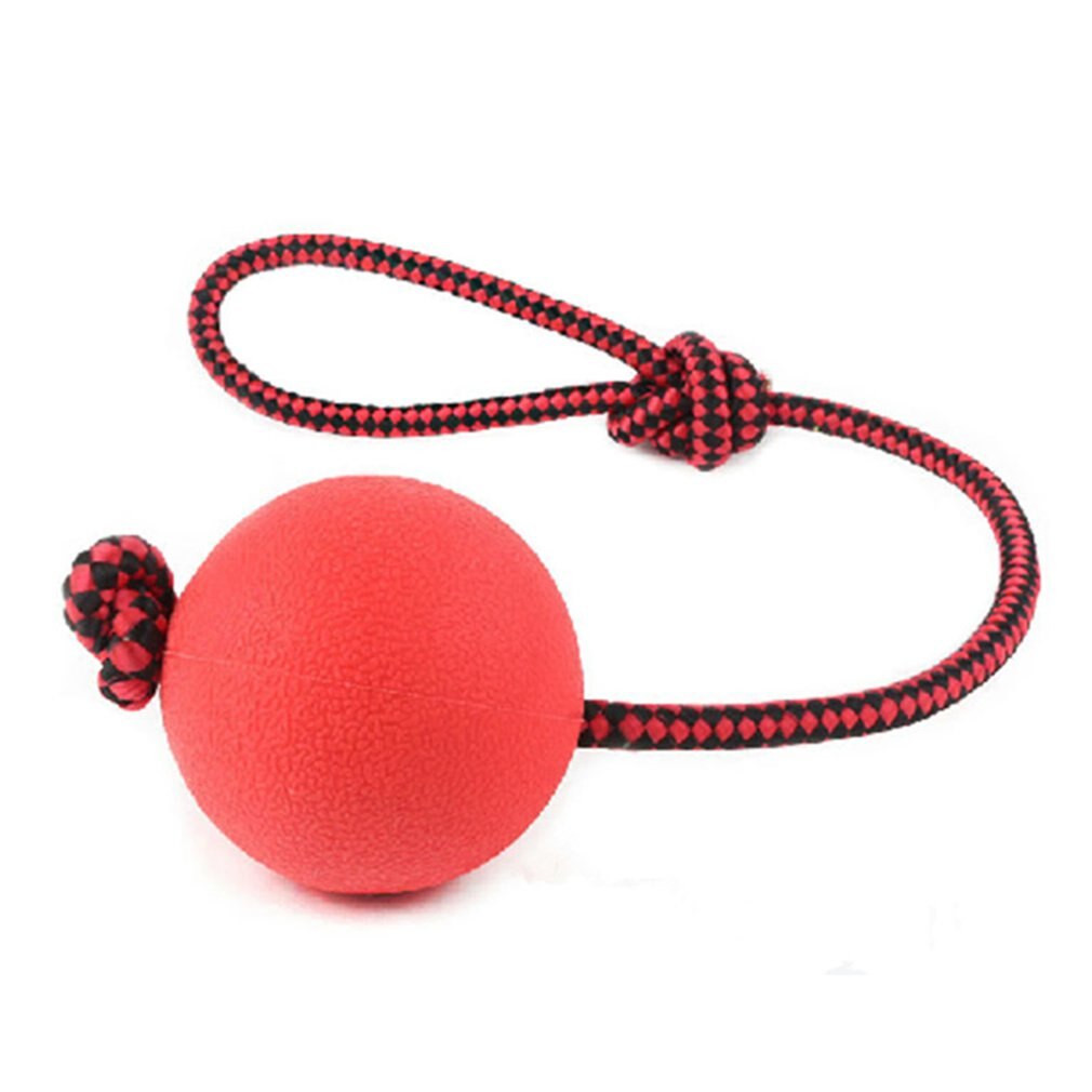 Toy ball rubber with leash - S