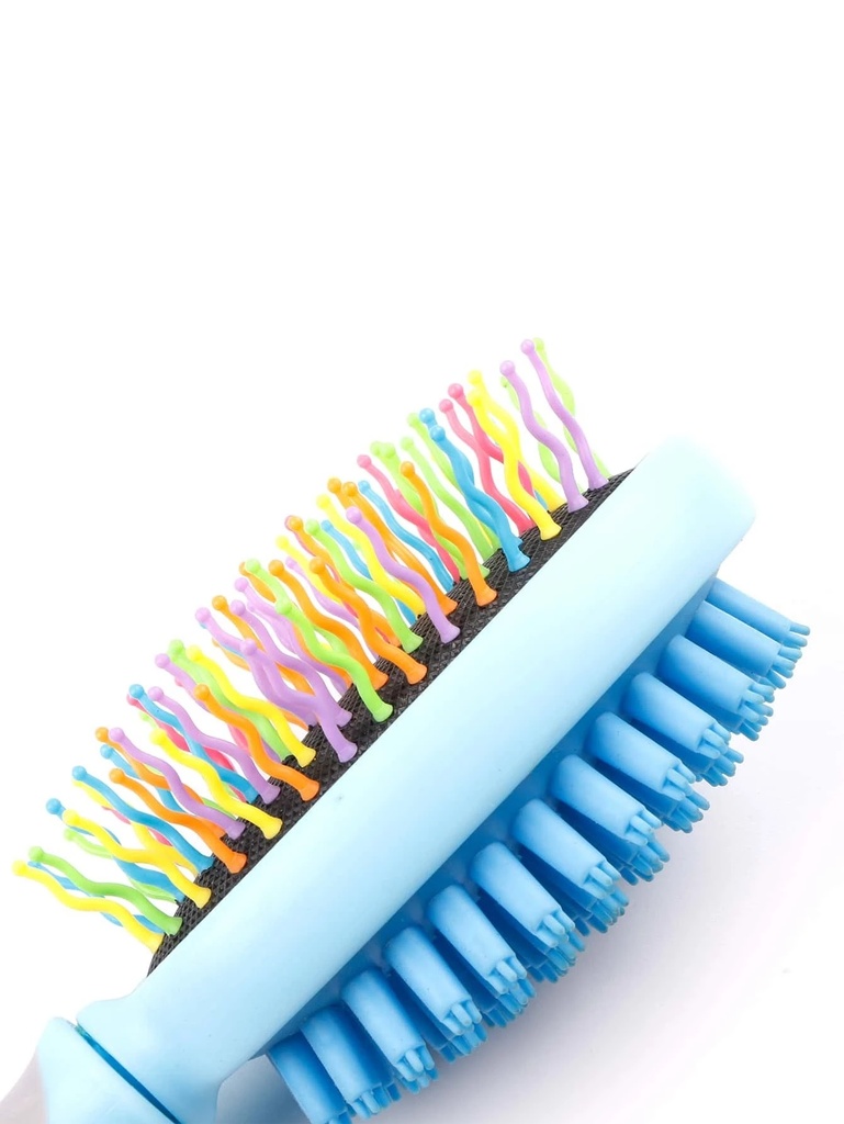 Brush DS Grooming & Massage Rainbow Color- M