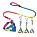 Harness kit rainbow color R/L 2cm - M