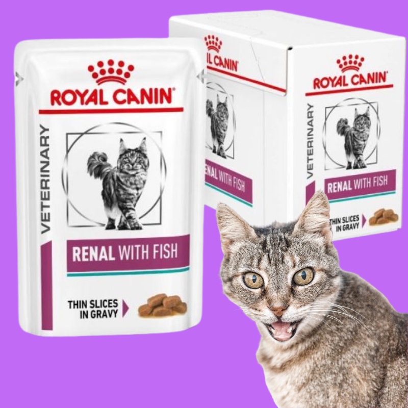 Royal Canin Cat renal Pouch With Fish 85g