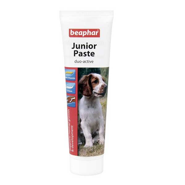 Beaphar Dog Junior Paste 100g