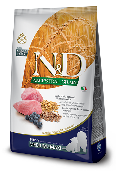 N&D Ancestral Grain Medium & Maxi Puppy 2.5Kg