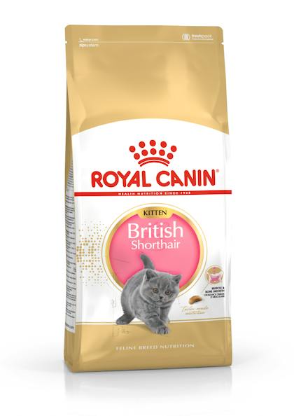 Royal Canin Kitten British Shorthair 2Kg