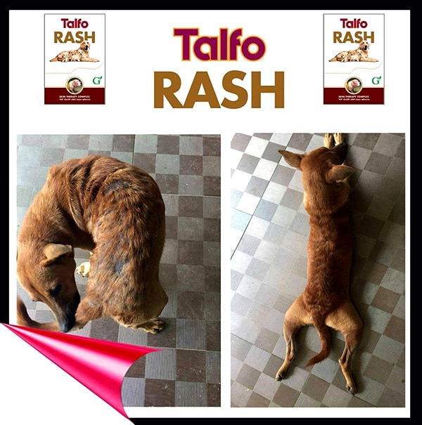 Greenvet Talfo rash 25g