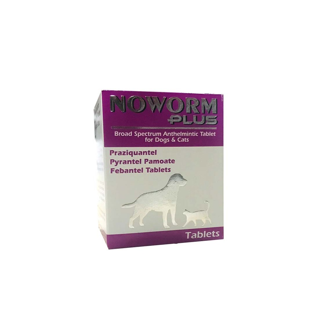 Noworm Plus Tablet 100's