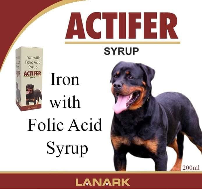 Actifer Syrup 200ml