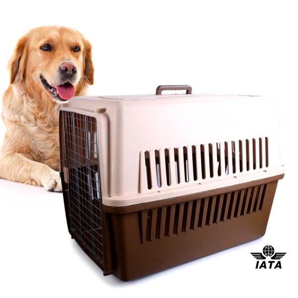 [PC00291] Cage Transport - L (SMS), Rs.25,250.00, OPD Rs.25,250.00