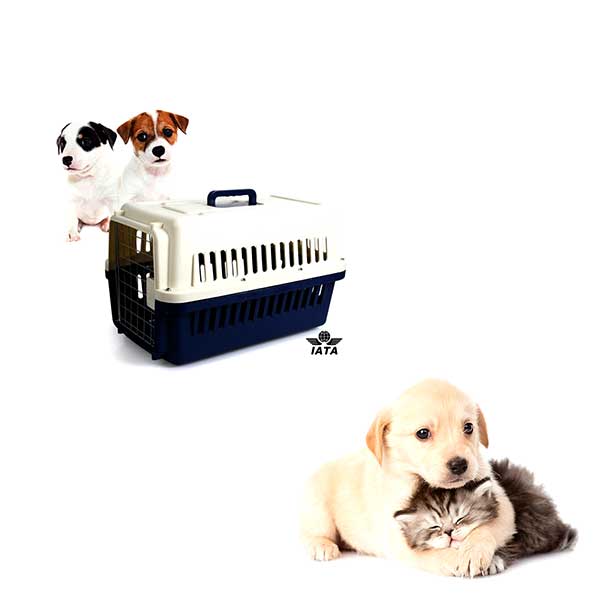 [PC00294] Cage Transport - S(SMS), Rs.9,600.00, OPD Rs.9,600.00