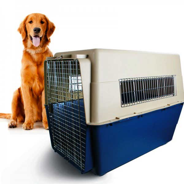 [PC00295] Cage Transport - XL(SMS), Rs.36,000.00, OPD Rs.36,000.00