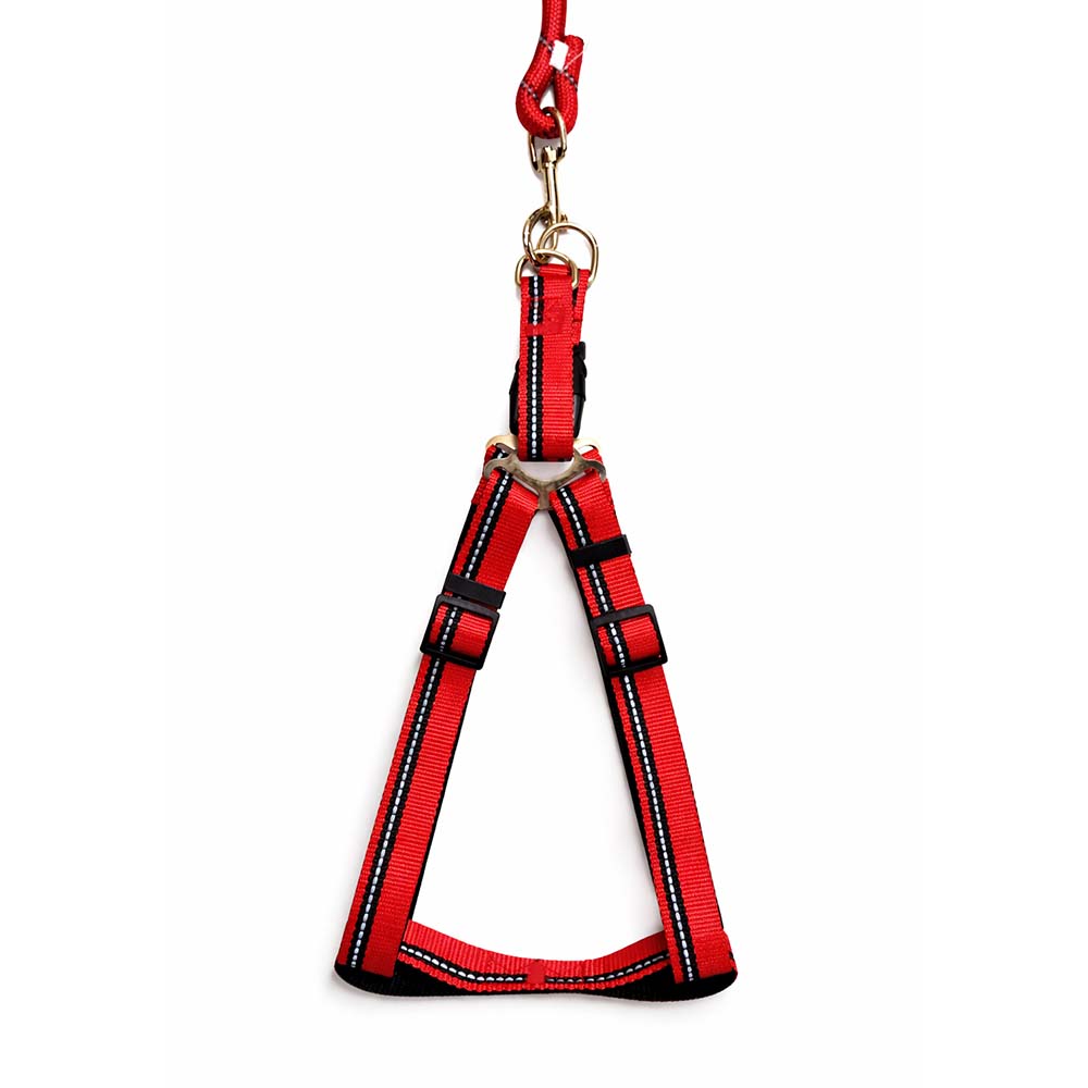 [PC03369] Harness Kit Reflective R/L With Soft Grip 2.5cm, Rs.2,100.00, OPD Rs.2,100.00