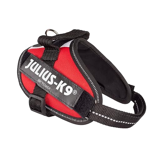 [PC02931] Harness Kit With Luminex Belt - S, Rs.1,700.00, OPD Rs.1,700.00