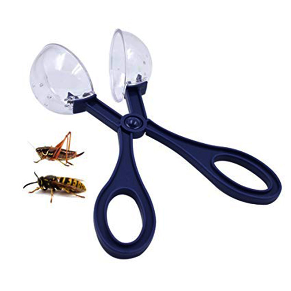 [PC00989] Insects catchers, Rs.450.00, OPD Rs.450.00
