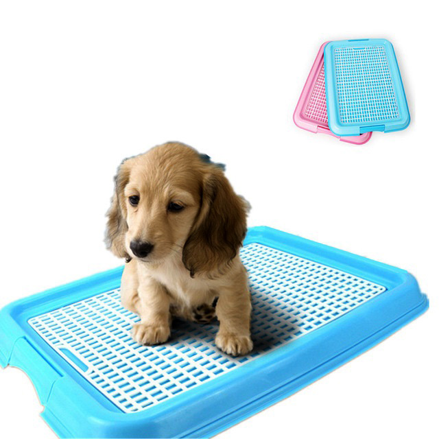 [PC01150] Litter training tray , Rs.2,500.00, OPD Rs.2,500.00
