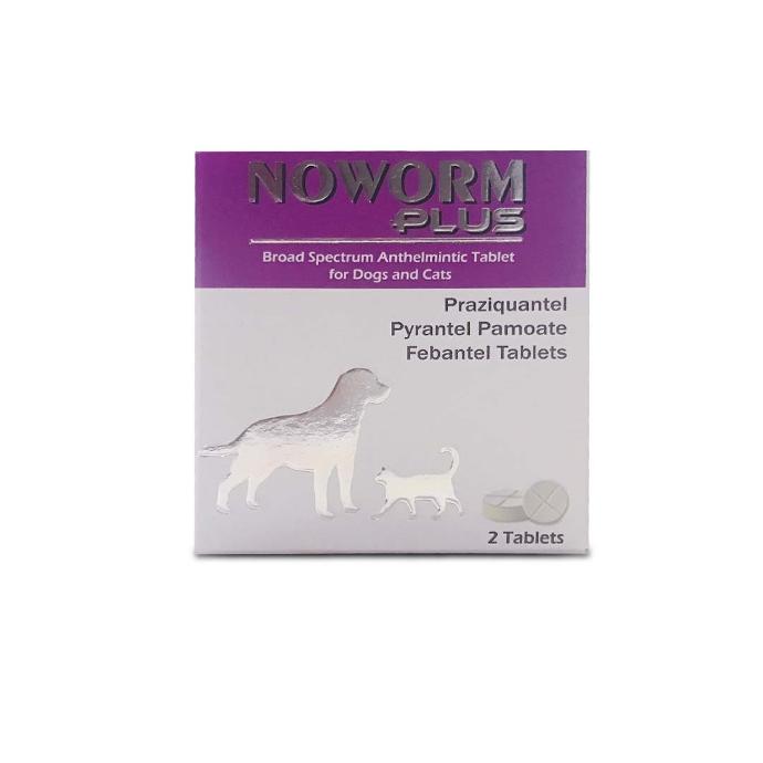 [PC03854] Noworm Plus Tablet 2's (1), Rs.400.00