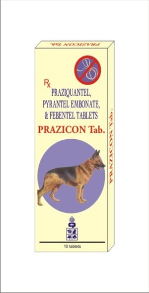 [PC01619] Prazicon Tablet (1), Rs.150.00, OPD Rs.150.00