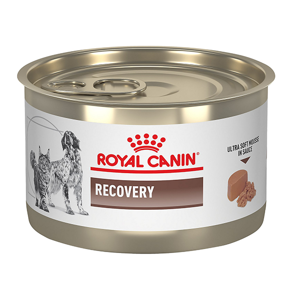 [PC03963] Royal Canin Recovery 195g (1), Rs.990.00, OPD Rs.990.00