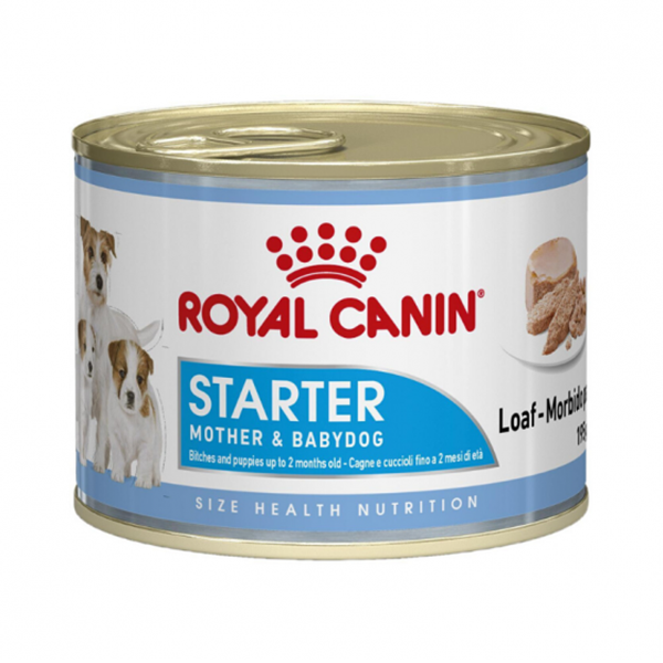 [PC01767] Royal Canin Starter Mousse 195g (2), Rs.900.00, OPD Rs.900.00