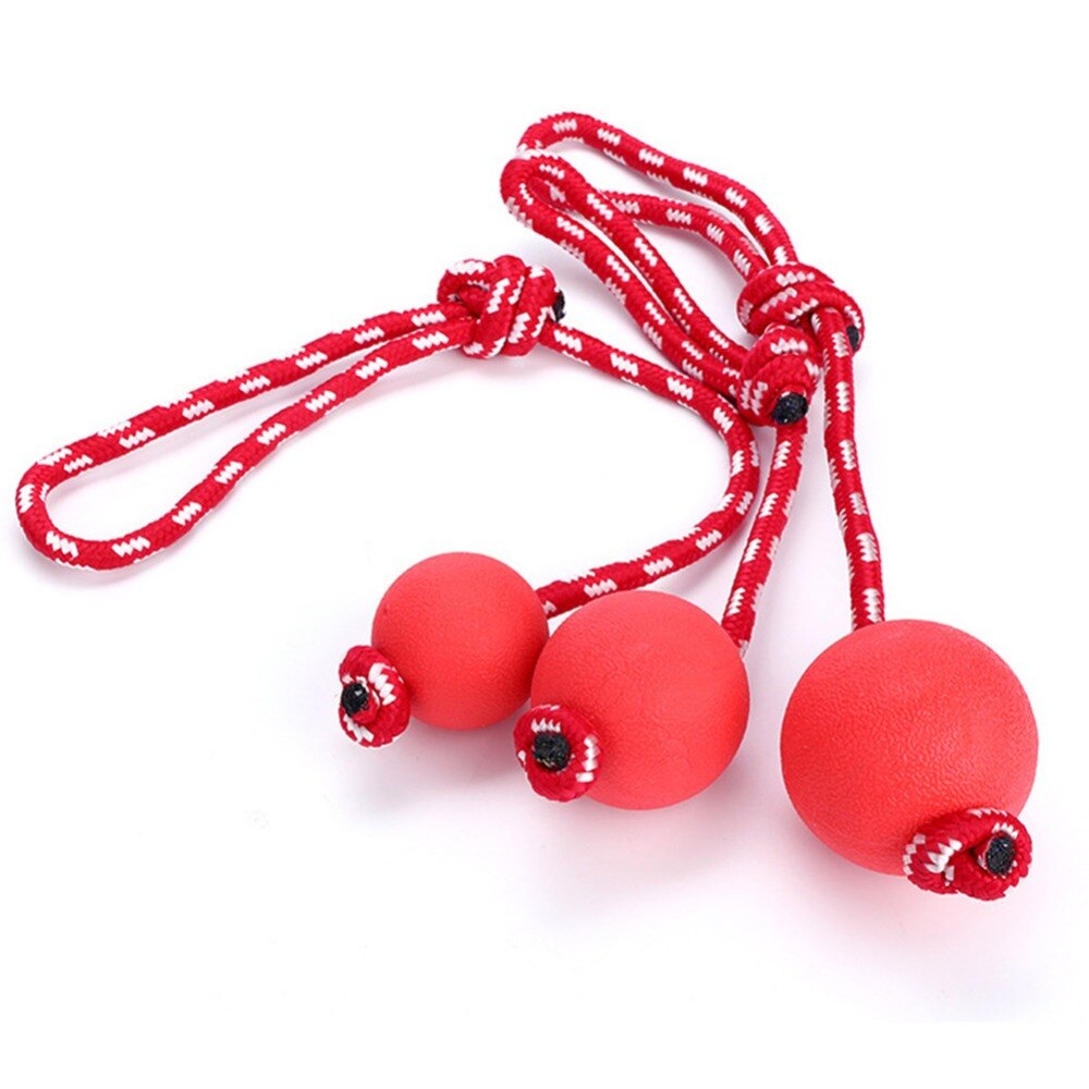 [PC04047] Toy Ball Rubber With Leash 6cm - L (3), Rs.1,080.00, OPD Rs.1,080.00