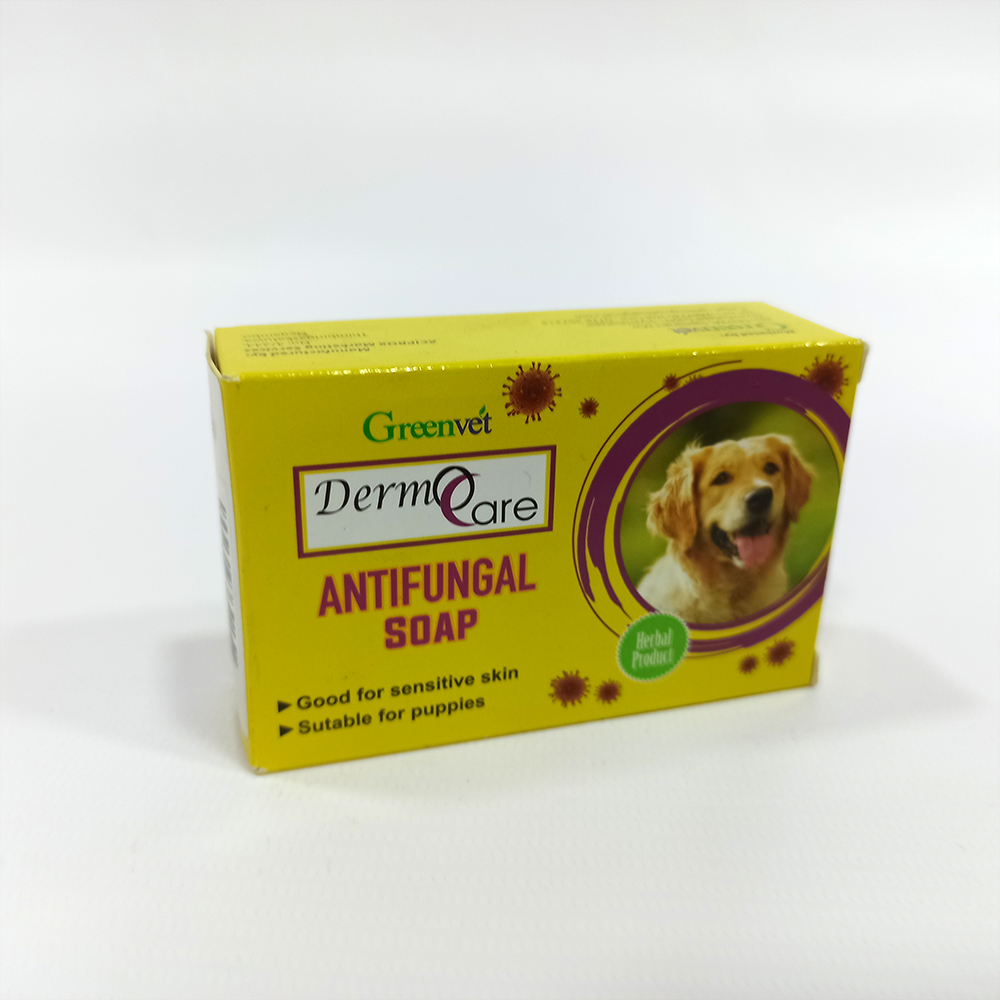 [PC03620] Derm Care Antifungal Soap 70g (4), Rs.800.00, OPD Rs.800.00