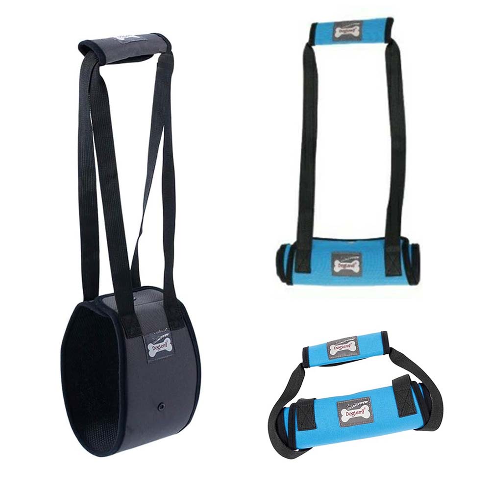 [PC00895] Harness Kit For Dog Lift - M (2), Rs.2,800.00