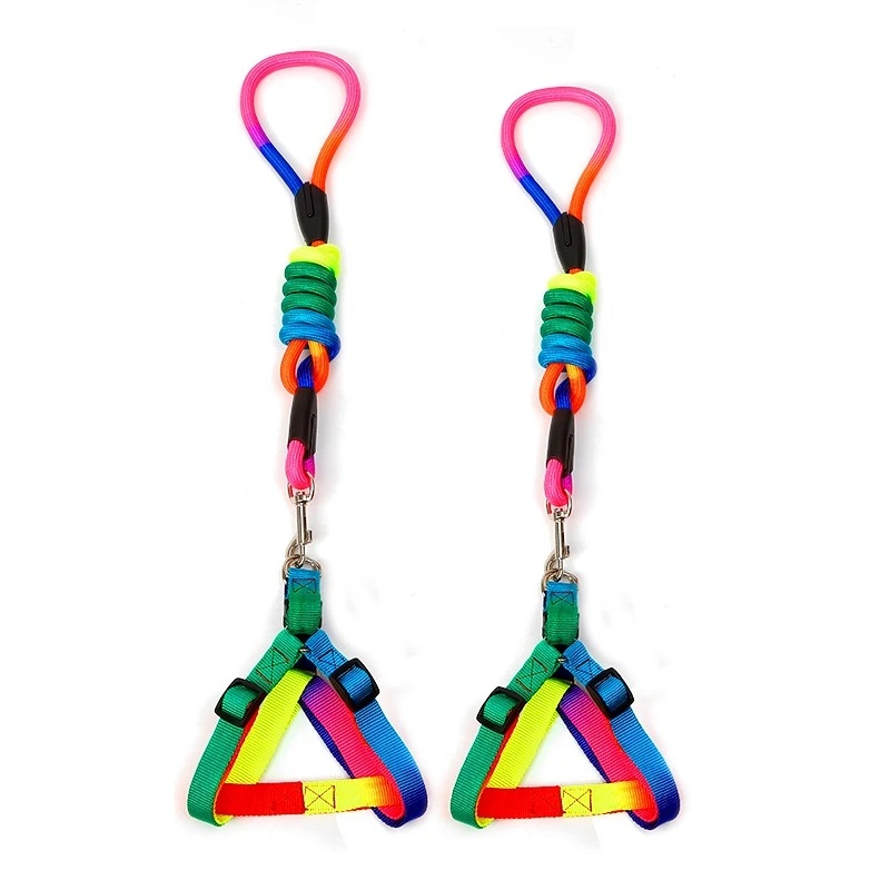 [PC02831] Harness Kit Rainbow Color R/L 1.5cm - S (2), Rs.1,350.00