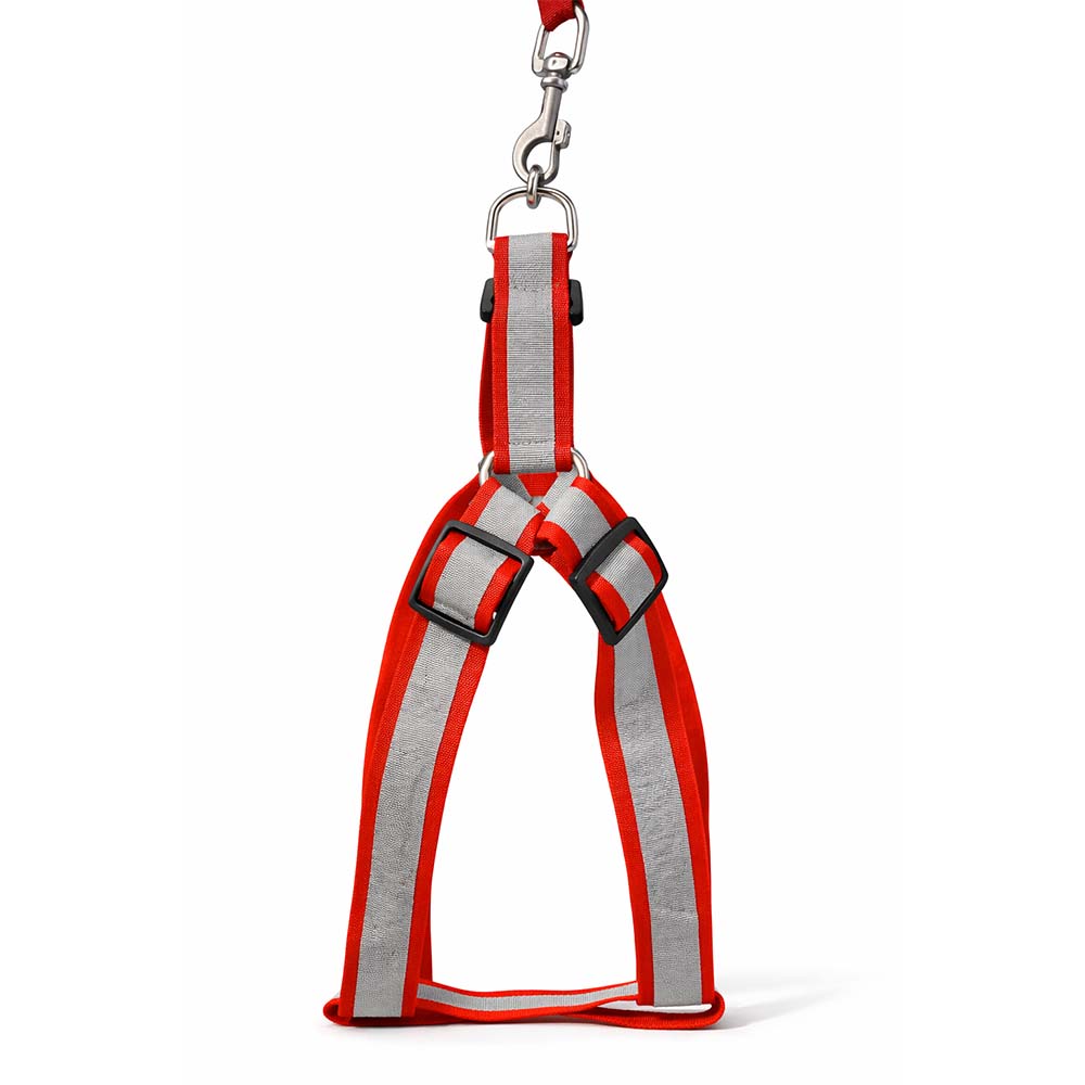[PC03699] Harness Kit Reflective 2.5cm - L (2), Rs.1,700.00, OPD Rs.1,700.00