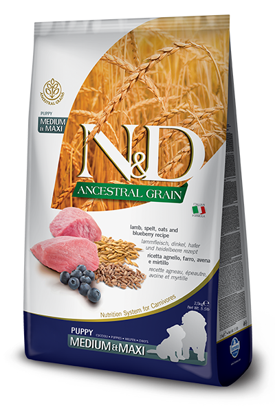 [PC02576] N&D Ancestral Grain Light Medium & Maxi Adult 2.5Kg (3), Rs.8,850.00, OPD Rs.8,850.00