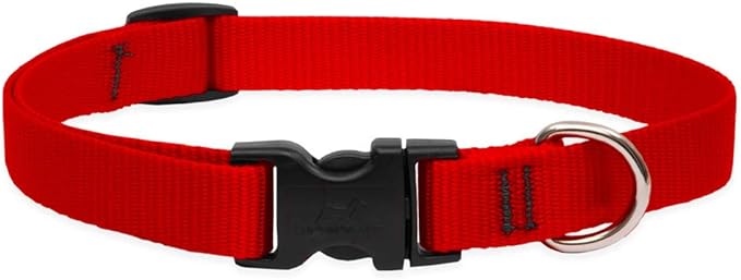 [PC03842] Neck Collar Plain 3/4" (3), Rs.240.00, OPD Rs.240.00