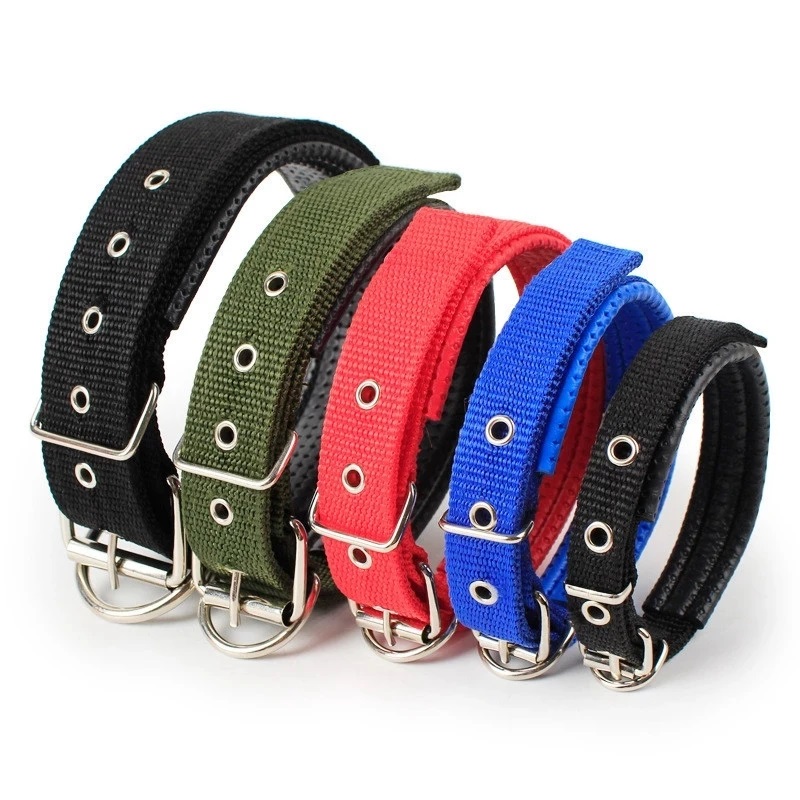 [PC01477] Neck Collar Random Color 4.0cm - 2XL (2), Rs.890.00, OPD Rs.890.00