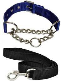 [PC01125] Leash With Choking Collar Police Dog