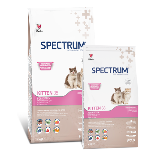 [PC01884] Spectrum Kitten38 2Kg