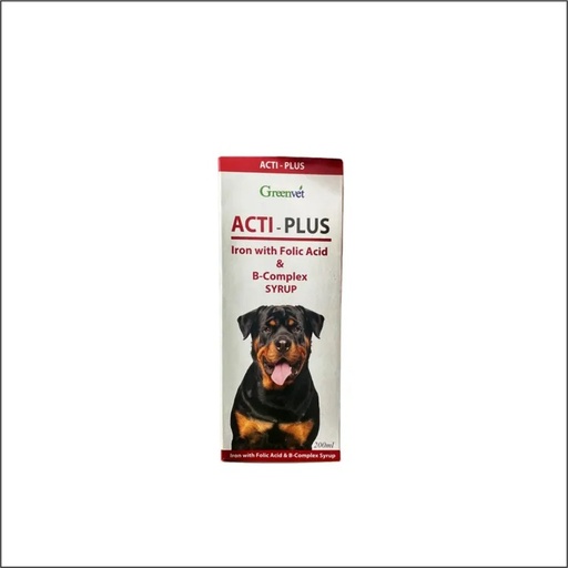 Acti Plus Syrup 200ml