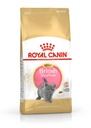 Royal Canin Kitten British Shorthair 2Kg